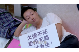 投诉建设信用卡催收——您的权益与应对策略 投诉建设信用卡催收——您的权益与应对策略